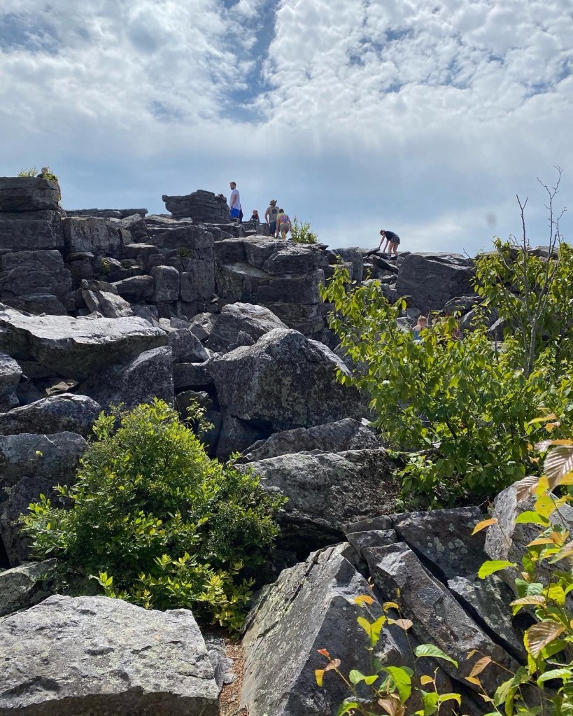 cfa6946a-9ae4-4748-86e0-c36375a7c2a1